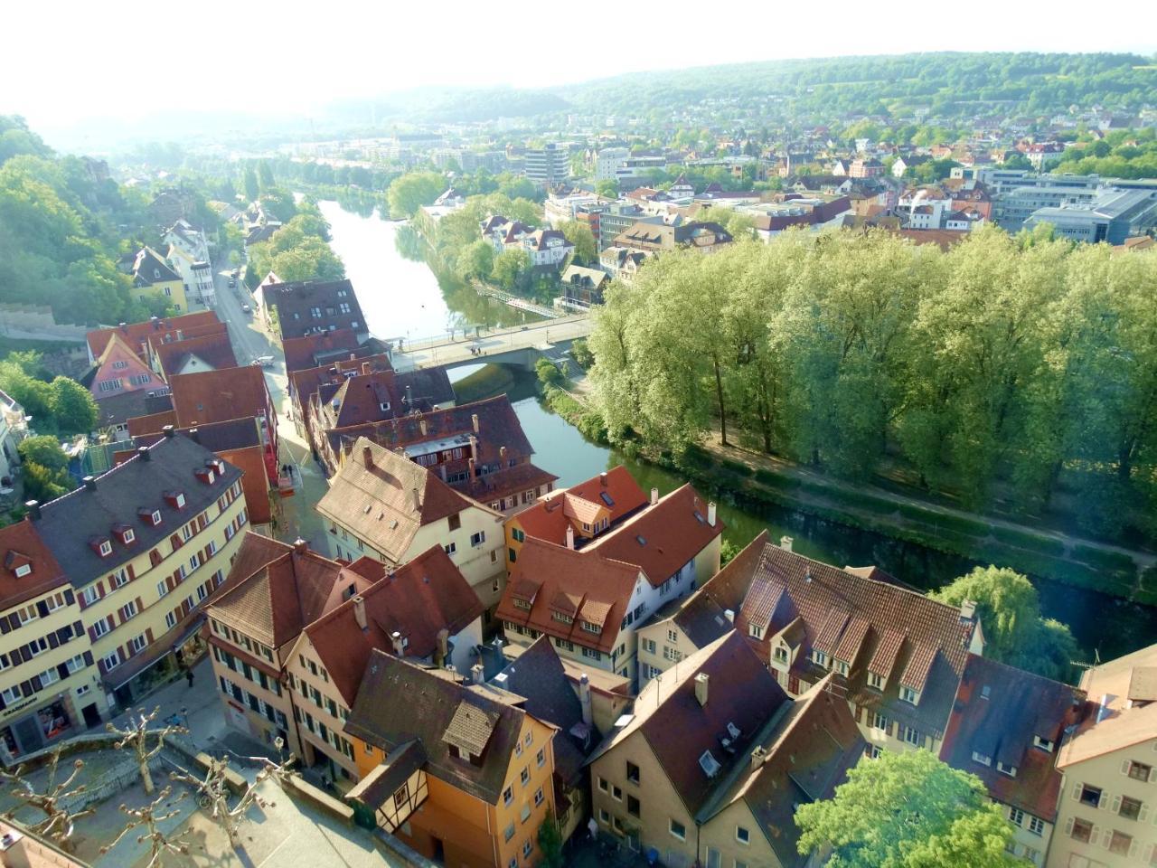 Wiedmann Tuebingen