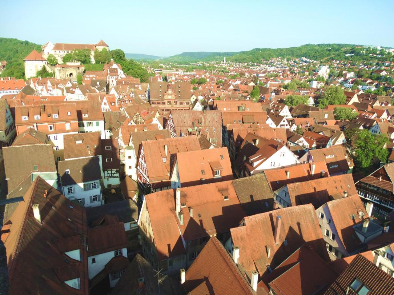 Wiedmann Tuebingen